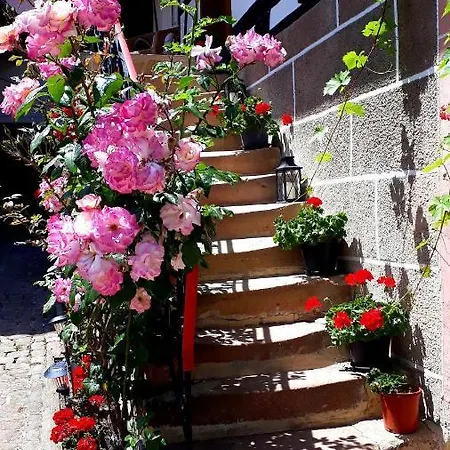 Bed & Breakfast D'hotes 